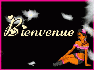 bienvenu ds mn blog